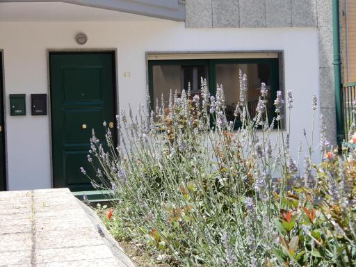 casa vacanze lucianoandson - Housity