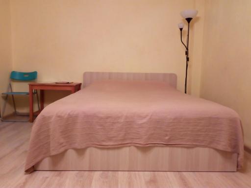 Apartment on Sovetskaya 24 - Housity