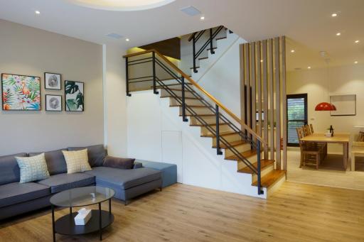 Ecology River - Housity