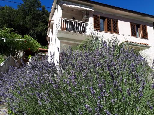 Apartments & rooms MIKLEUS - Housity