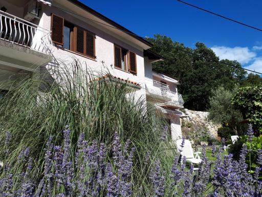 Apartments & rooms MIKLEUS - Housity
