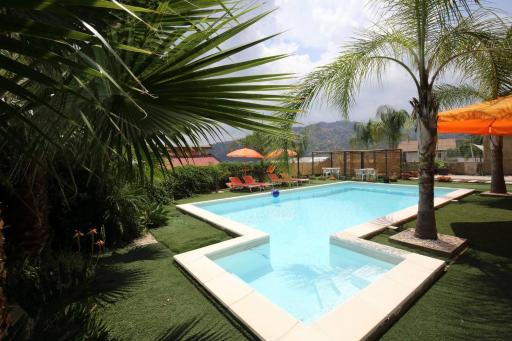 Villa delle Palme - Housity