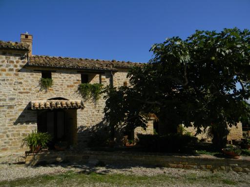 Azienda Agrituristica Colle San Giorgio - Housity