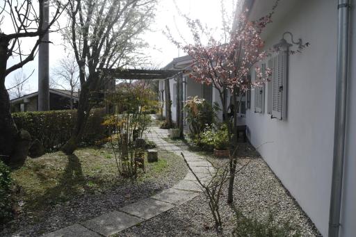 casa banana - Housity