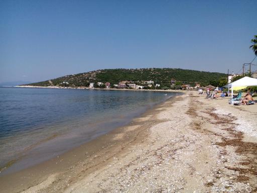 Iordanis - Housity