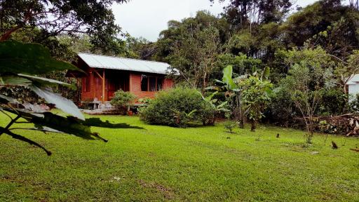 Bird Lover's House - Housity