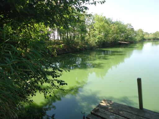 Club Haus am See - Housity