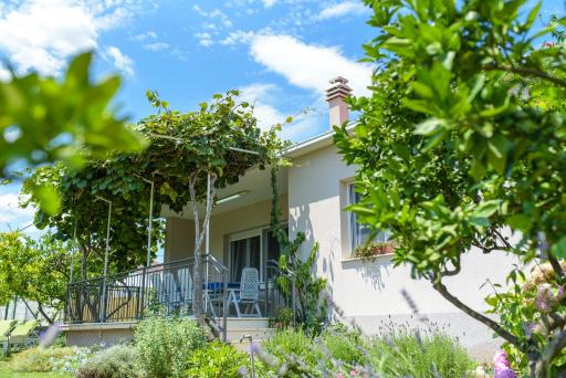 Vacation House Bile - Housity