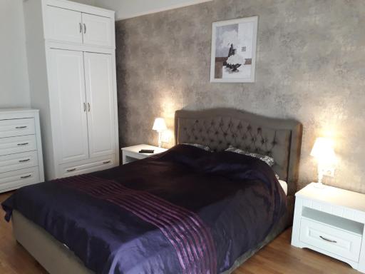 Mickeviciaus str apartment - Housity