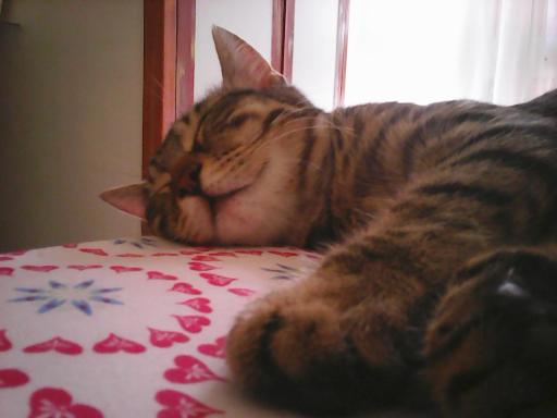 Maison De Dora - Housity