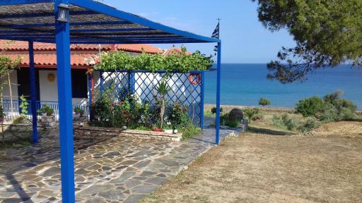 Margarita House - Housity