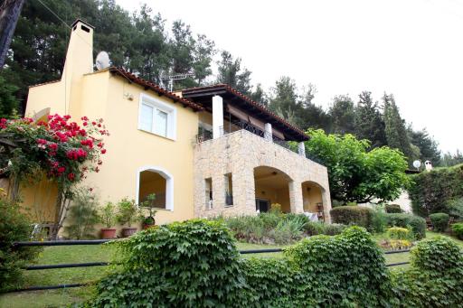 Six Steps From The Forest - Housity