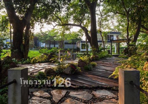 Photharam126 Resort - Housity