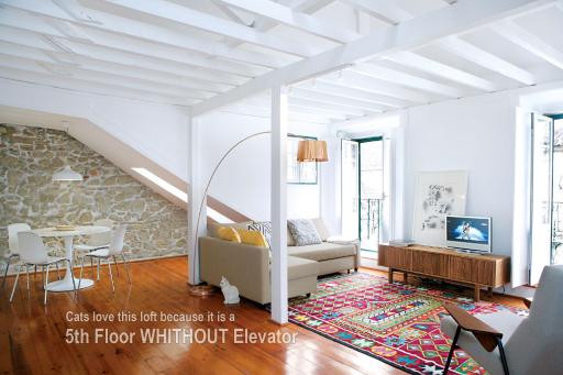 18th Century Loft - Housity