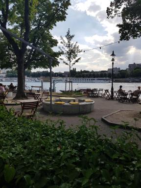 Apartment am Rhein - Housity