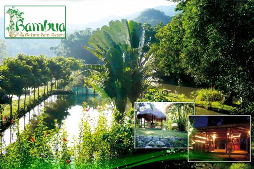 Bambua Nature Cottages - Housity