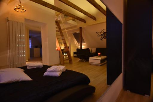 CATS Dreams - Housity