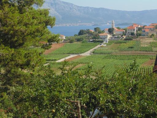 VILLA Apartments Mate Cebalo - Housity