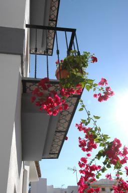 Apartamentos El Tranco del Mar - Housity