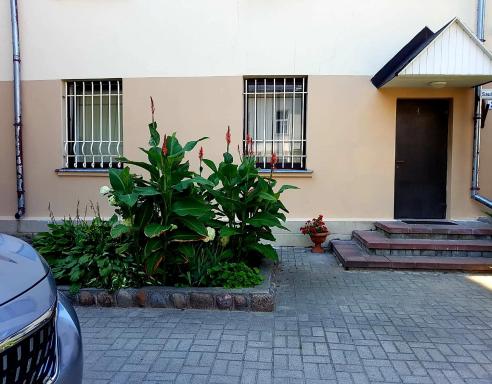 Saule - Housity