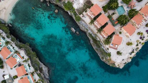 Paradise trips I - Housity