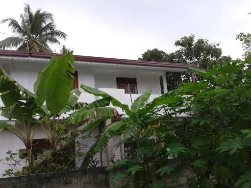 Ishitha Homestay - Housity