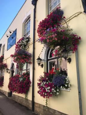tiger inn - Housity