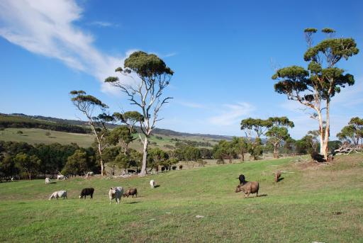 Back Valley Farmstay Bed and Breakfast - Housity