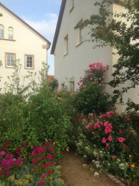 Ferienwohnung Zweinig 01 - Housity