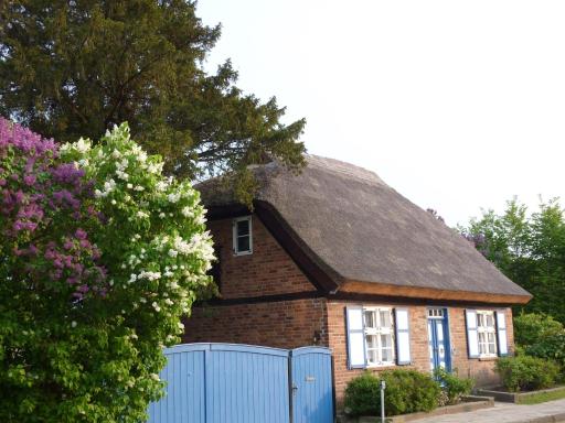Alte Kate mit Bau-& Zirkuswagen im Gartenidyll in Putbus OT Kasnevitz - Housity
