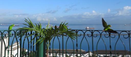 Pousada do Pilar - Housity