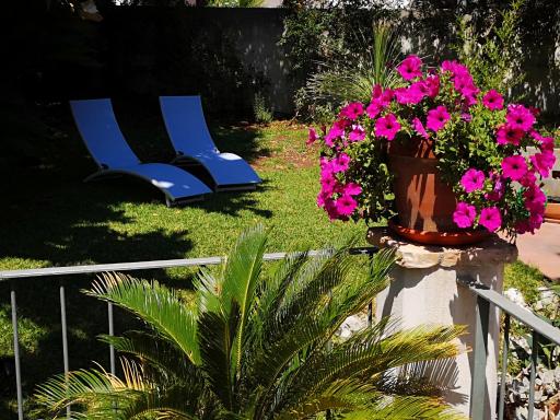 A casa di Marley - Housity