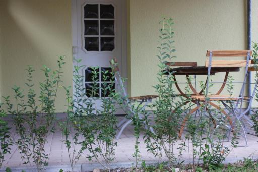 Lindenstube - Housity