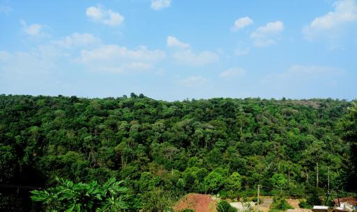 Shreegandha Homestay - Housity