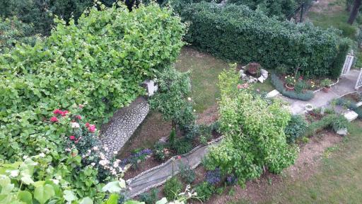 Apartments Frkovic - Housity