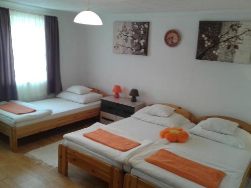 100 ÉVES NOSZTALGIA APARTMAN - Housity