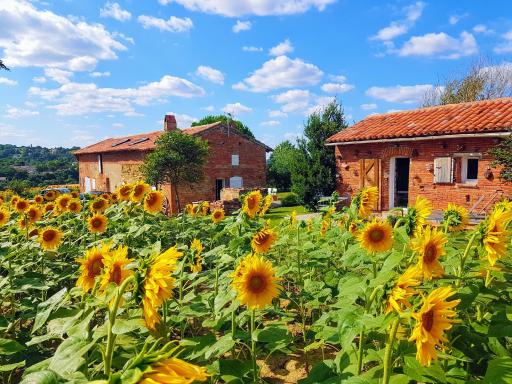 Les Hauts de Sames - Housity