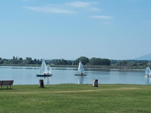 I Tulipani di Anna - Housity