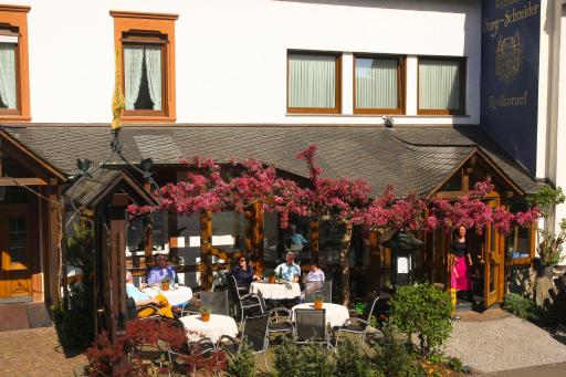 Weinhaus Burg-Schneider - Housity