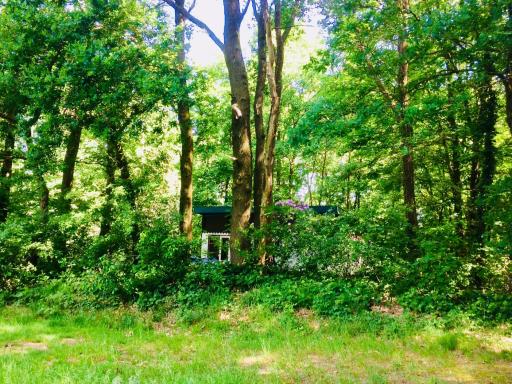 Boshuis en Landhoeve vakantiehuis - Housity