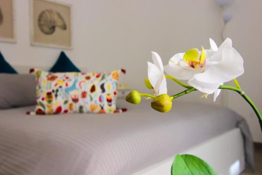 Le Casette di Marcì - Housity