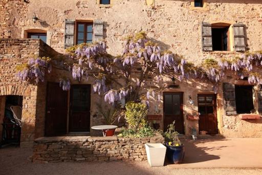 Domaine de la Saule - Housity