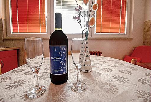 Apartman Penthaus u strogom centru Banja Luke - Hizvo