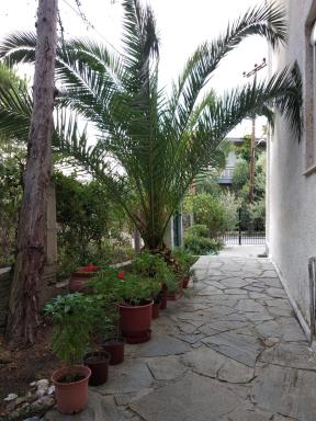 Velikis Apartments - Housity