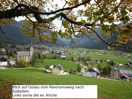 Apartment 14 Edelweiss Gosau - Housity