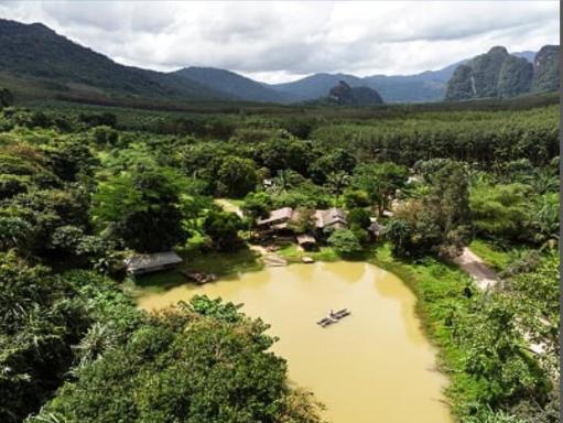 Khao Sok Homestay Resort - Housity