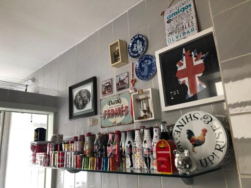 Apto continente Florianópolis - Housity