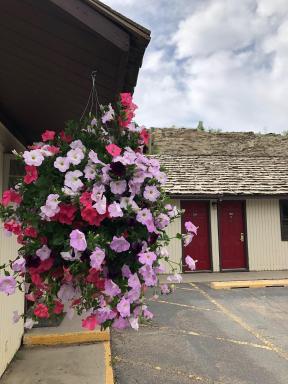 Country West Motel of Rock Springs - Housity
