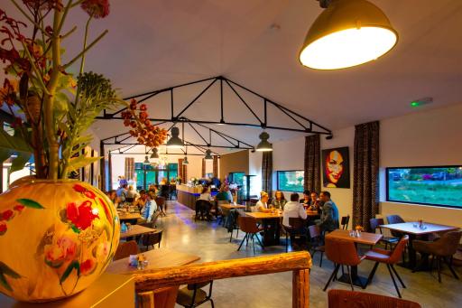 Brasserie/B&B De Pletsmolen - Housity