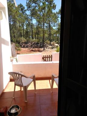 Patio Beach House - Checkinhome - Hizvo